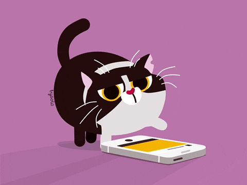 giphy (1)